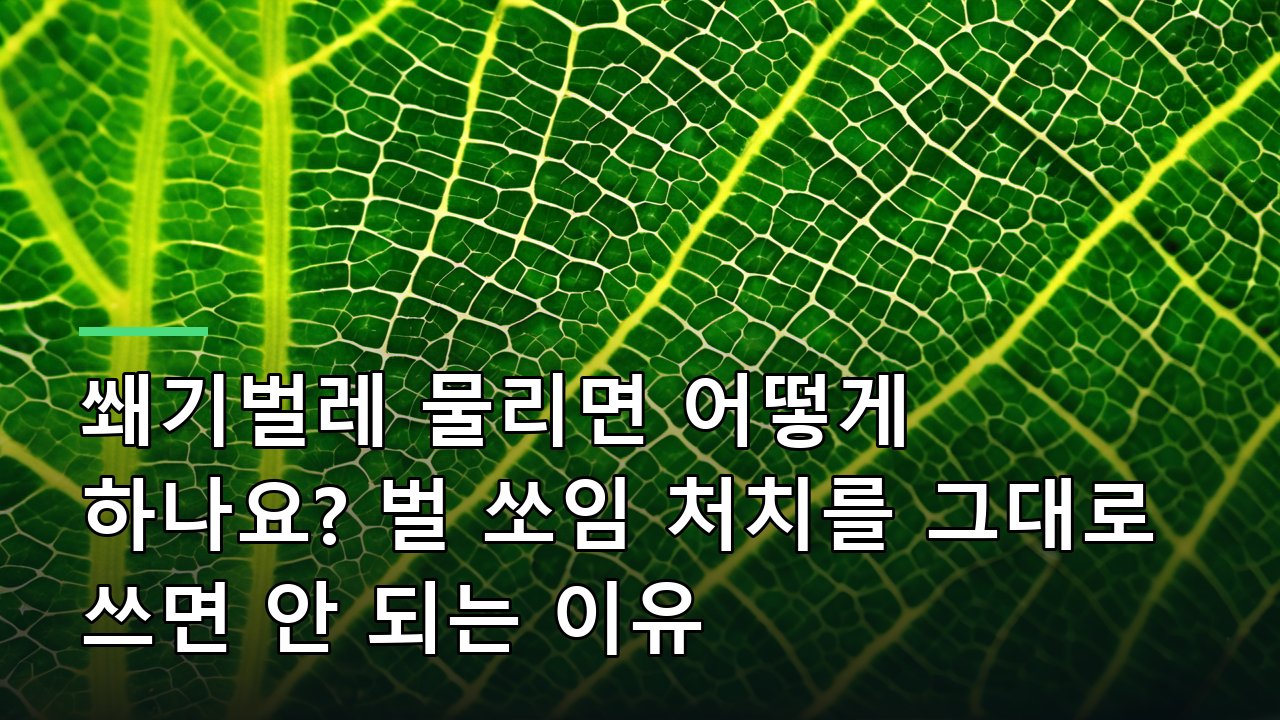 쐐기벌레 물리면 어떻게 하나요? 벌 쏘임 처치를 그대로 쓰면 안 되는 이유