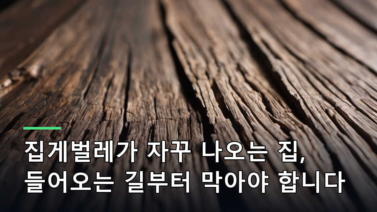 집게벌레가 자꾸 나오는 집, 들어오는 길부터 막아야 합니다