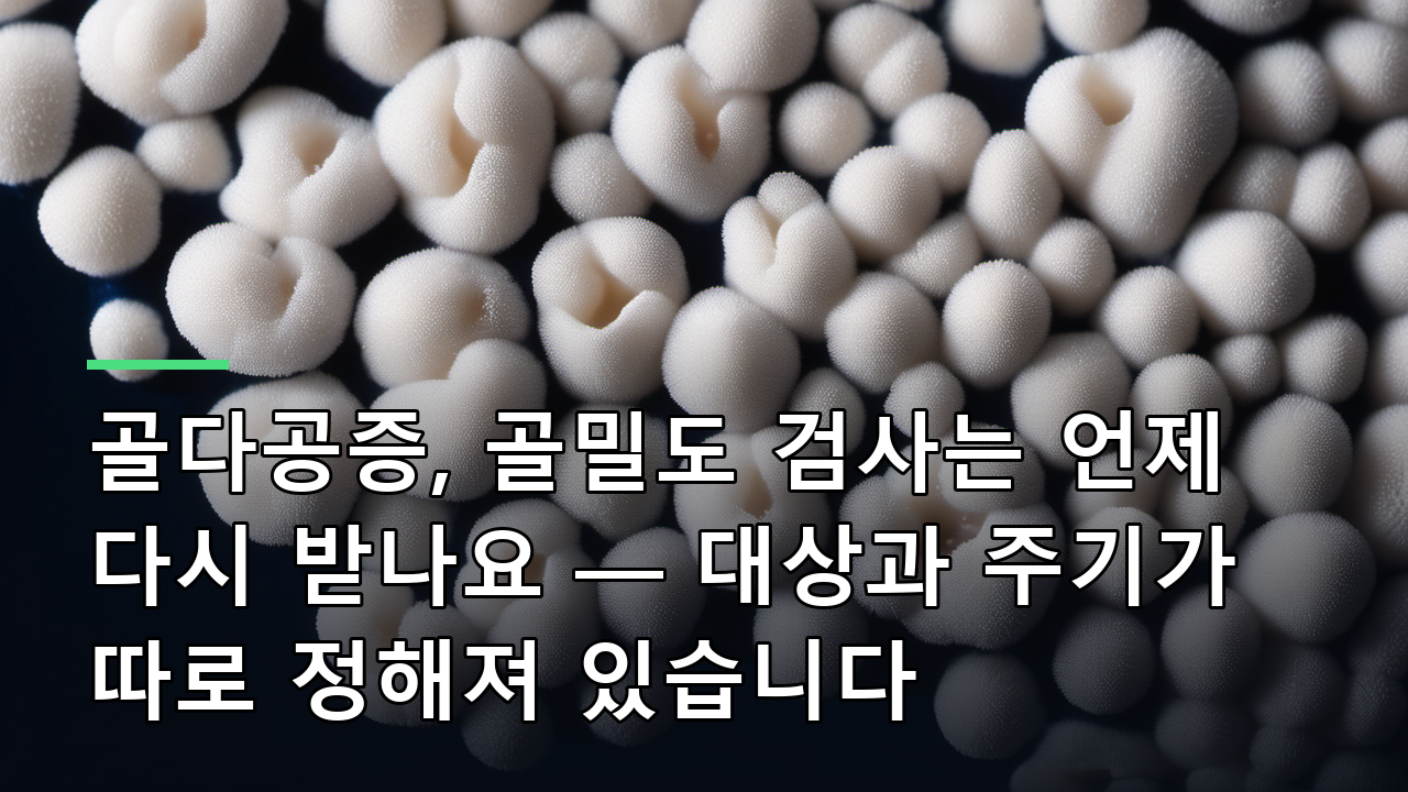 골다공증, 골밀도 검사는 언제 다시 받나요 — 대상과 주기가 따로 정해져 있습니다