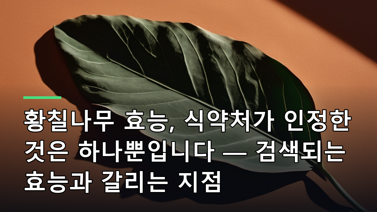 황칠나무 효능, 식약처가 인정한 것은 하나뿐입니다 — 검색되는 효능과 갈리는 지점