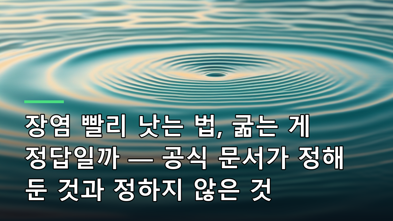 장염 빨리 낫는 법, 굶는 게 정답일까 — 공식 문서가 정해 둔 것과 정하지 않은 것