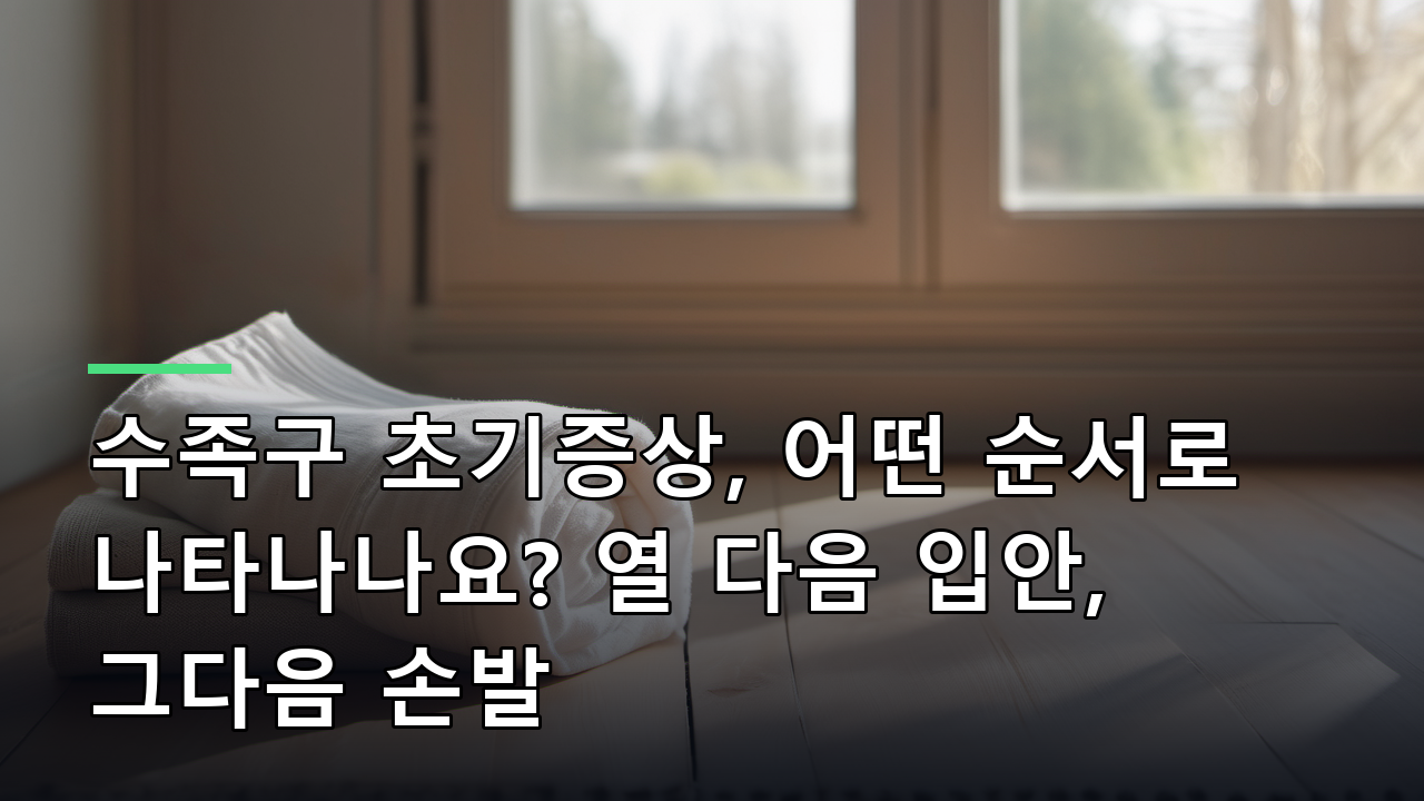 수족구 초기증상, 어떤 순서로 나타나나요? 열 다음 입안, 그다음 손발