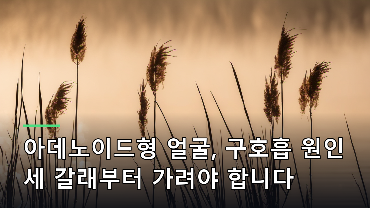 아데노이드형 얼굴, 구호흡 원인 세 갈래부터 가려야 합니다