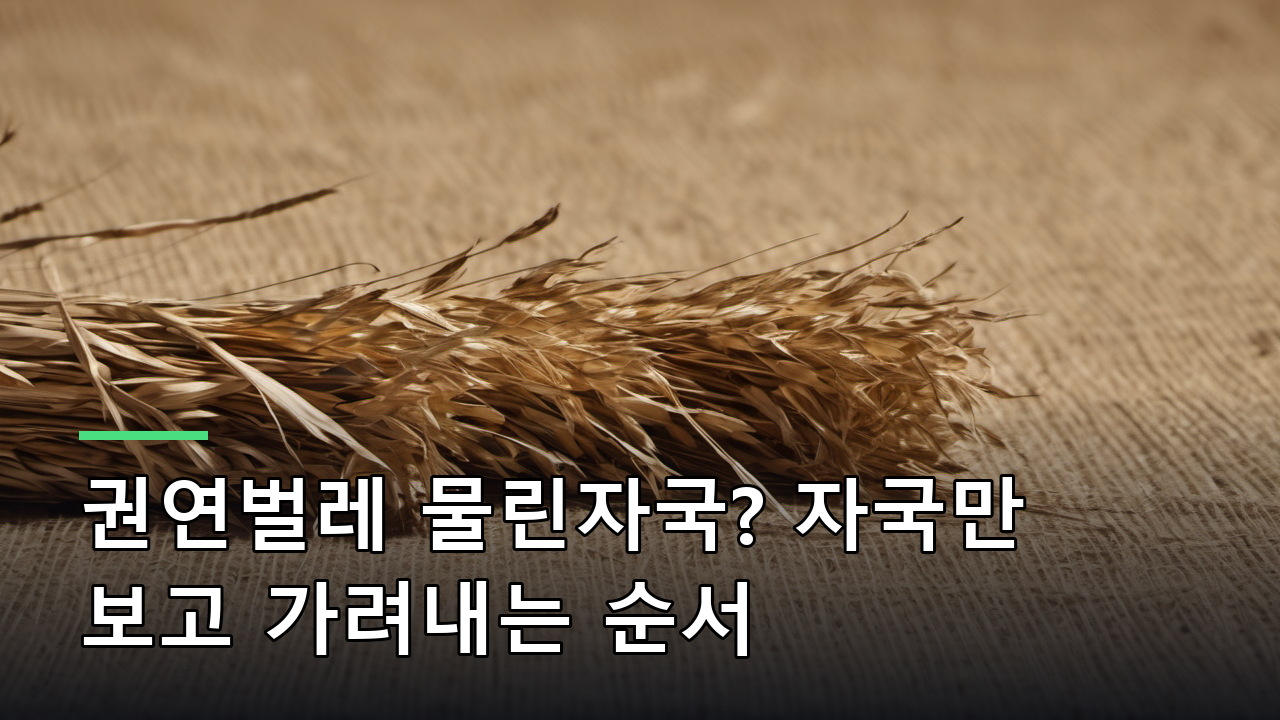 권연벌레 물린자국? 자국만 보고 가려내는 순서