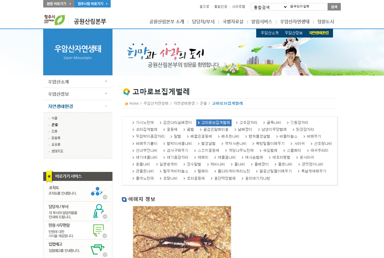 www.cheongju.go.kr 화면 갈무리
